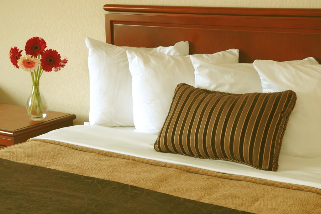 Quality Inn And Suites Montreal East מראה חיצוני תמונה